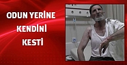 Odun yerine kendini kesti