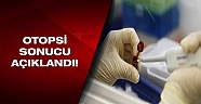 Ölen mahkumun otopsisinde H1N1 virüsü çıkmadı