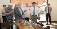 Orfozlar büyüledi