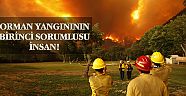 Orman yangınının birinci sorumlusu insan