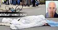 Otomobilin çarptığı İskoç öldü