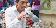 Paşa’ya padişah kavuğu