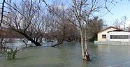 Sağnak yağmur ırmağı taşırdı