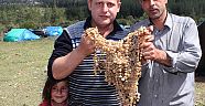 Salep ekmek kapısı oldu