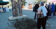 Şarkı sözü tersten yazılınca…