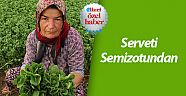 Serveti semizotundan