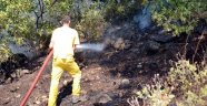 Servis aracındaki yangın ormanlık alana sıçradı