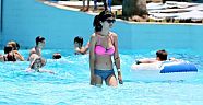 Sıcaktan bunalan havuza koştu