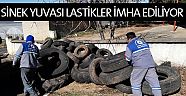 Sinek yuvası lastikler imha ediliyor 