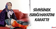 Sivrisinek ısırığı hayatını karattı