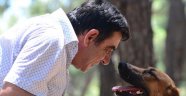 Sokak köpeği Sara hayat kurtaracak
