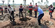Soma şehitleri anısına EXPO alanına ağaç dikildi