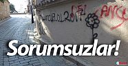 Sorumsuzlar!