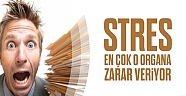 Stres en çok o organa zarar veriyor