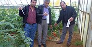Tarım da elektriğe suya para yok