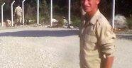 Terhisine günler kala şehit oldu