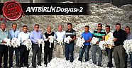 Teslim edilen pamuk hayali, imzalar sahte, ama alınan paralar gerçek!