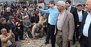 Türel Demre deve güreşlerinde