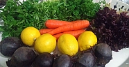 Turfanda sebze  ihracatı başladı 