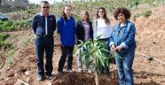 Türkiye’nin ilk tropikal meyve bahçesi kuruldu