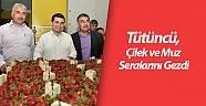 Tütüncü, çilek ve muz seralarını gezdi