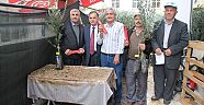 Üreticiye zeytin fidanı dağıtıldı
