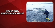 Yağmurla gelen sel, ilginç manzaralar oluşturdu