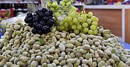 Yaz meyveleri gramla satılıyor