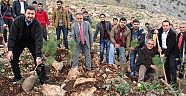 'Yeni Yılda Fidan Dik' kampanyası