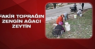 Zeytinin hiçbir kalıntısı çöpe atılmıyor