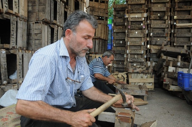 Toptancı Hali'nde, 40 yıldır sandık tamiri yapıyorlar