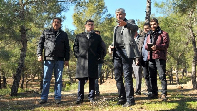 Tütüncü, Kepez Park Orman Projesini inceledi