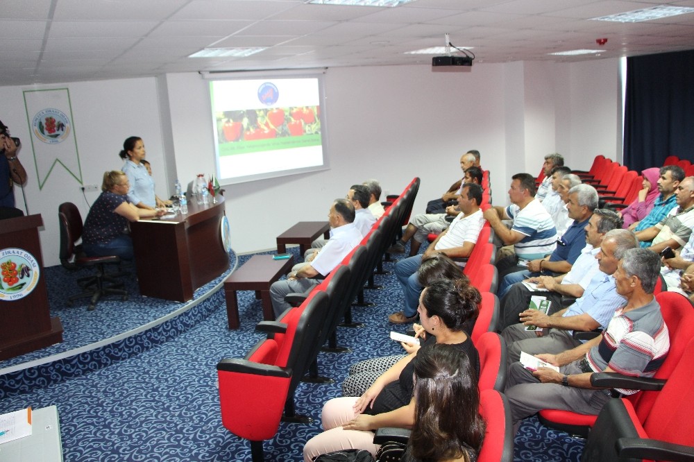 Üreticiler virüs hastalıklarına karşı bilgilendirdi