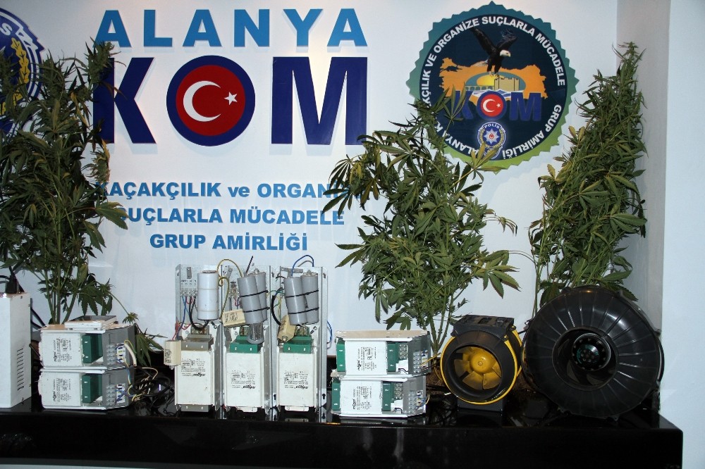 Uyuşturucu satıcılarına şafak operasyonu