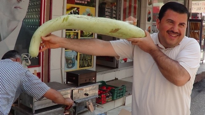 Uzun kabaklar görenleri şaşırtıyor