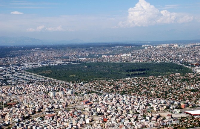 Vakıf çiftliği halka kazandırılacak