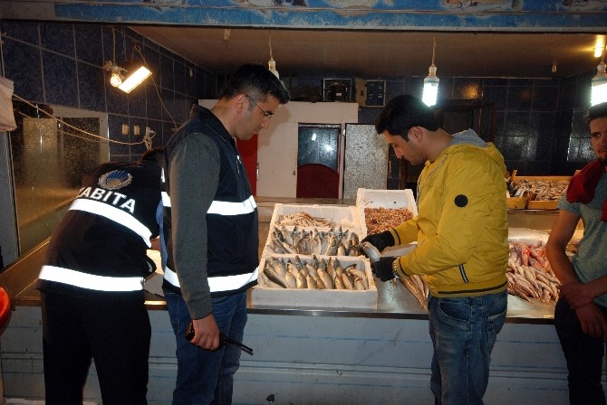 Zabıtadan Bayat Balık Operasyonu